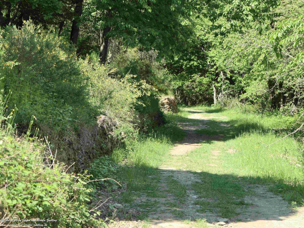 Philosophische Bildwanderung Rhein-Wisper-Glück - Taunus