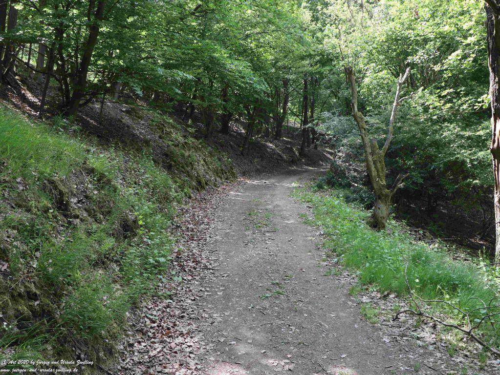 Philosophische Bildwanderung Rhein-Wisper-Glück - Taunus