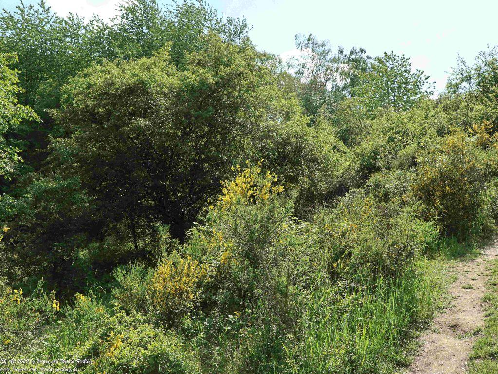 Philosophische Bildwanderung Rhein-Wisper-Glück - Taunus