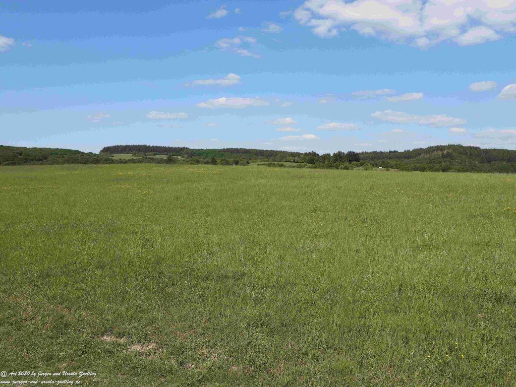 Philosophische Bildwanderung Rhein-Wisper-Glück - Taunus