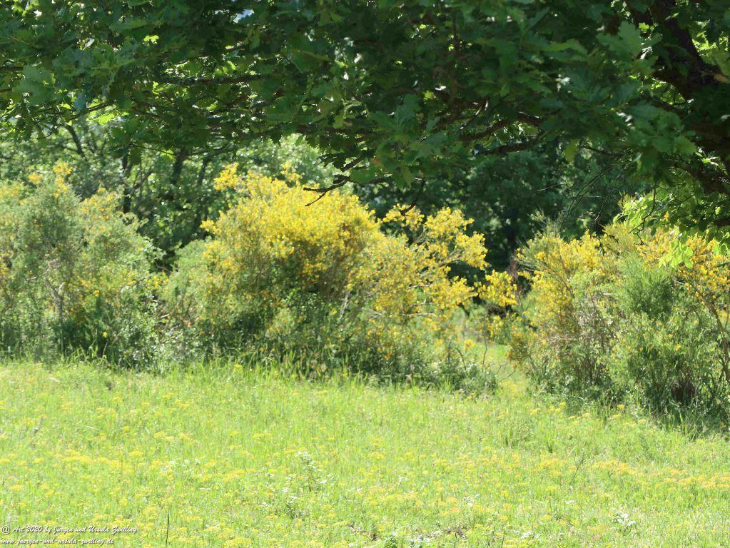 Philosophische Bildwanderung Rhein-Wisper-Glück - Taunus