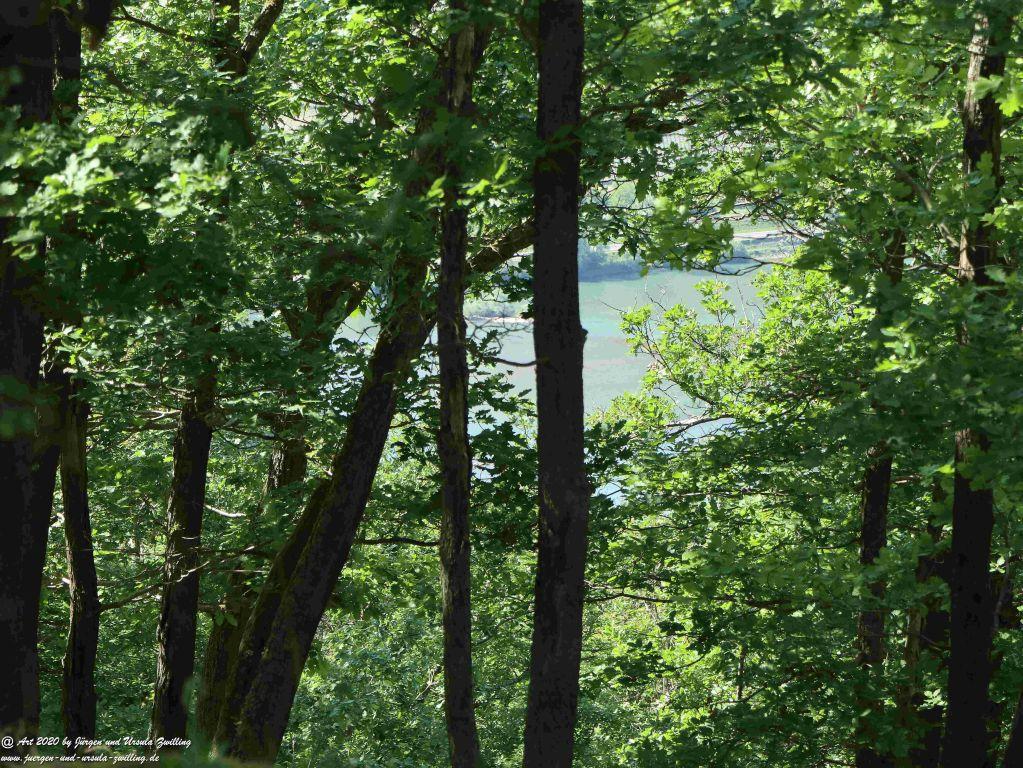 Philosophische Bildwanderung Rhein-Wisper-Glück - Taunus