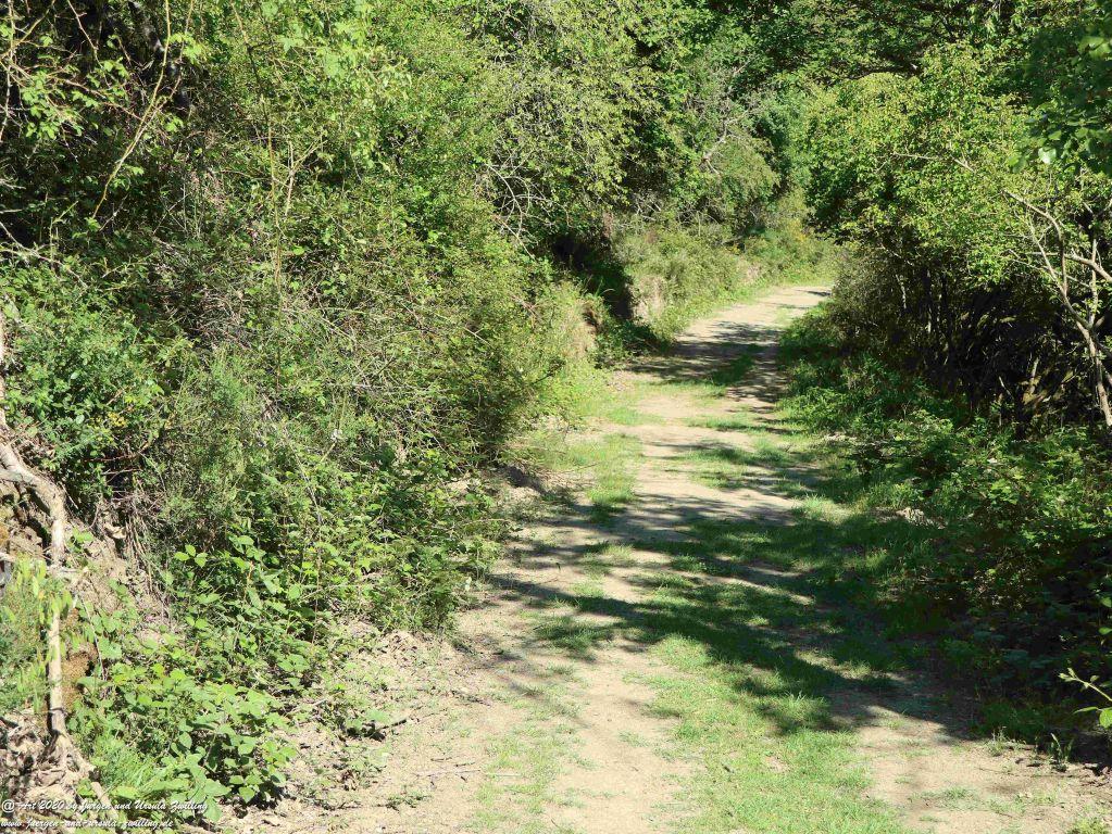 Philosophische Bildwanderung Rhein-Wisper-Glück - Taunus