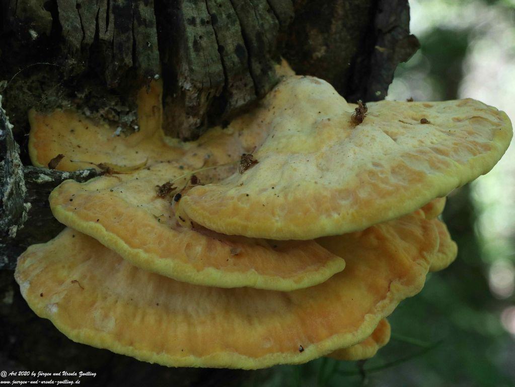 Philosophische Bildwanderung Rhein-Wisper-Glück - Taunus
