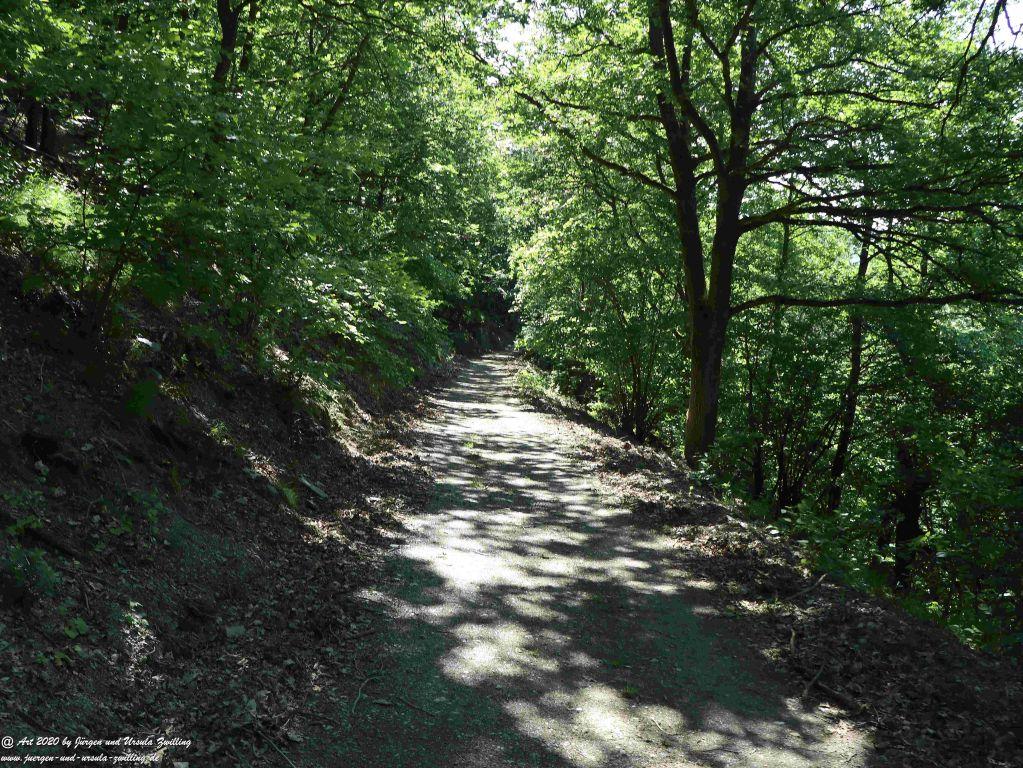 Philosophische Bildwanderung Rhein-Wisper-Glück - Taunus