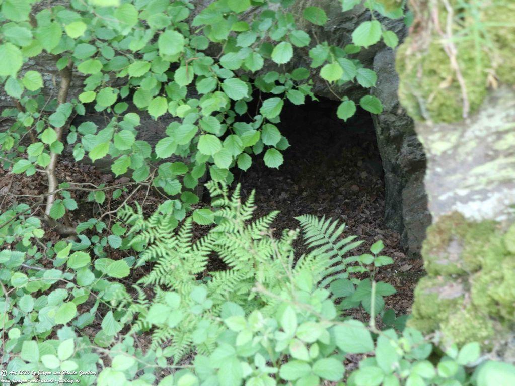 Philosophische Bildwanderung Rhein-Wisper-Glück - Taunus