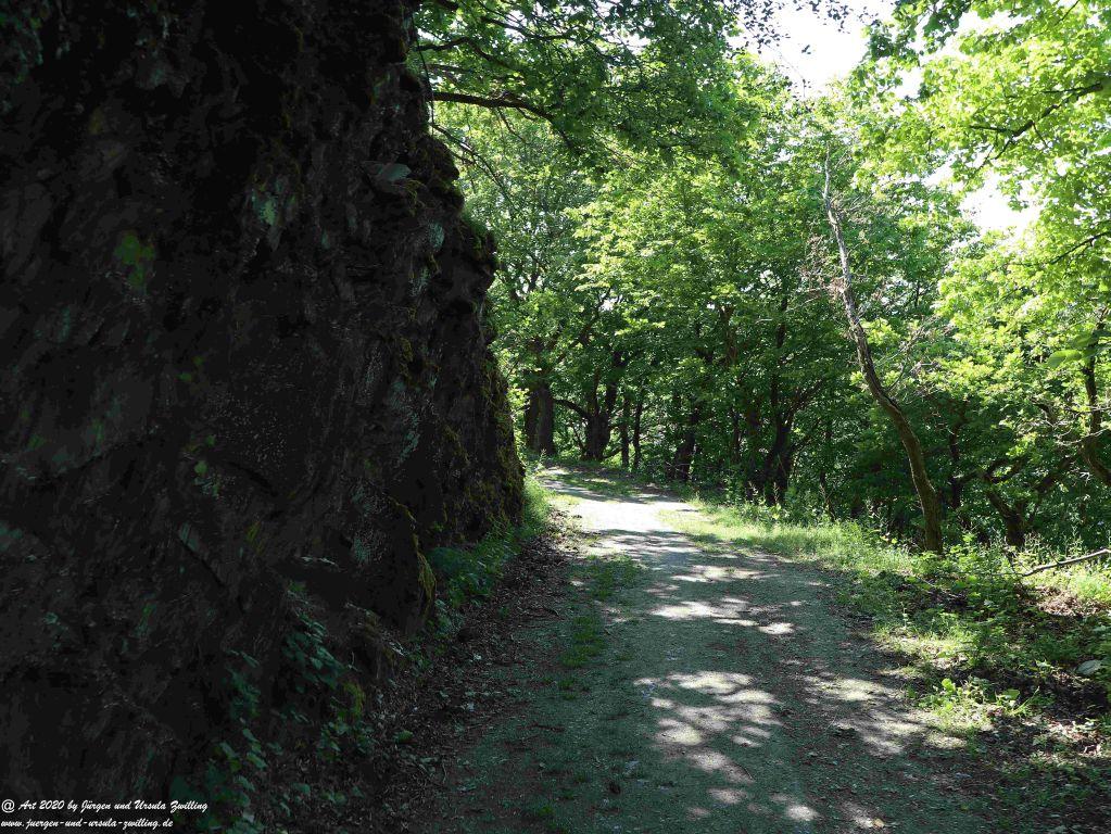 Philosophische Bildwanderung Rhein-Wisper-Glück - Taunus