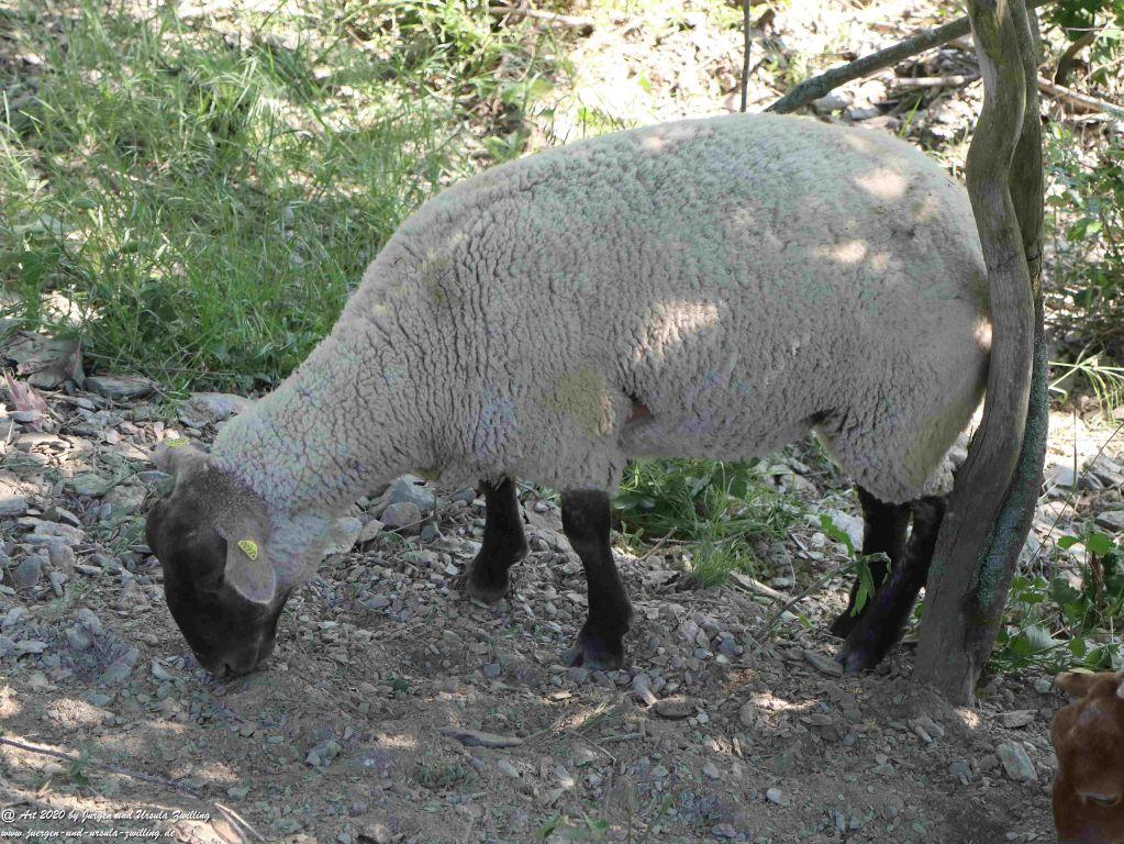 Philosophische Bildwanderung Rhein-Wisper-Glück - Taunus