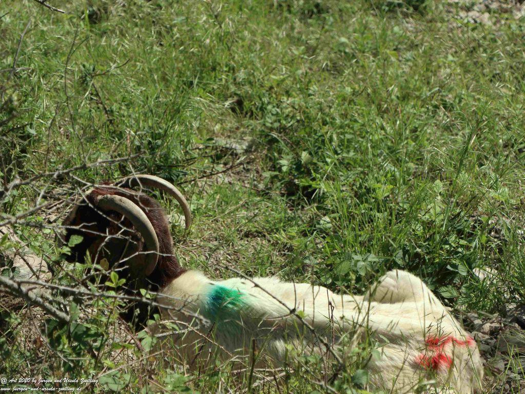 Philosophische Bildwanderung Rhein-Wisper-Glück - Taunus