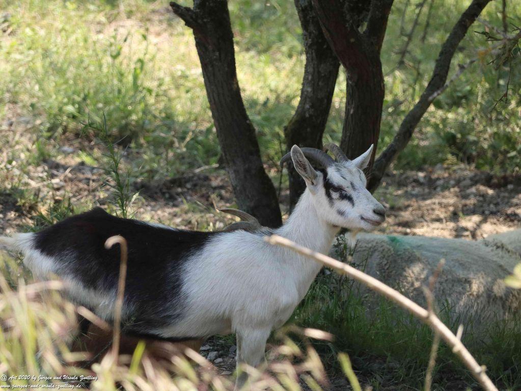 Philosophische Bildwanderung Rhein-Wisper-Glück - Taunus