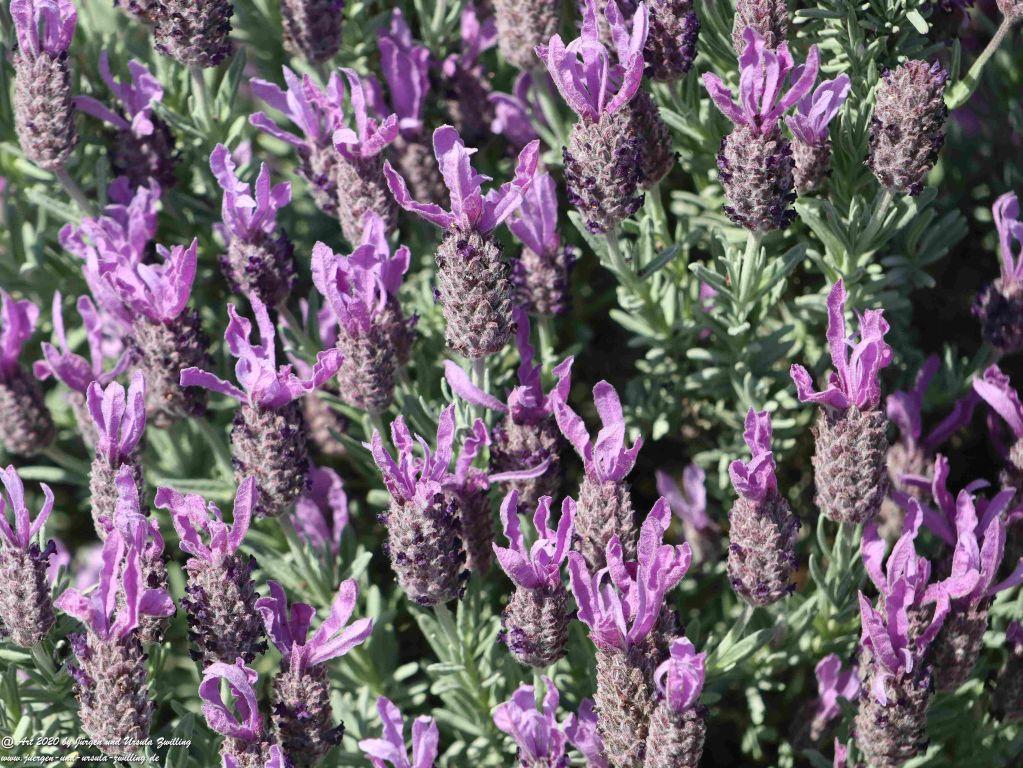 Philosophische Bildwanderung Rhein-Wisper-Glück - Taunus