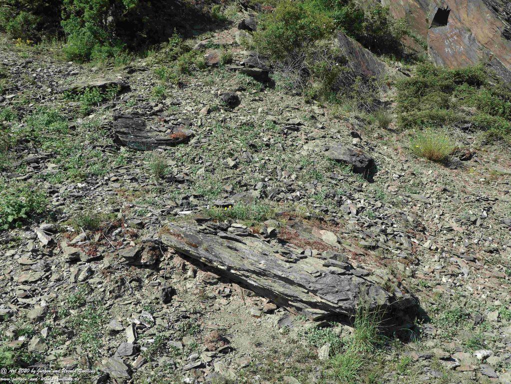 Philosophische Bildwanderung Rhein-Wisper-Glück - Taunus