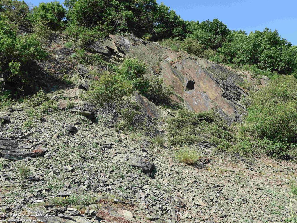 Philosophische Bildwanderung Rhein-Wisper-Glück - Taunus