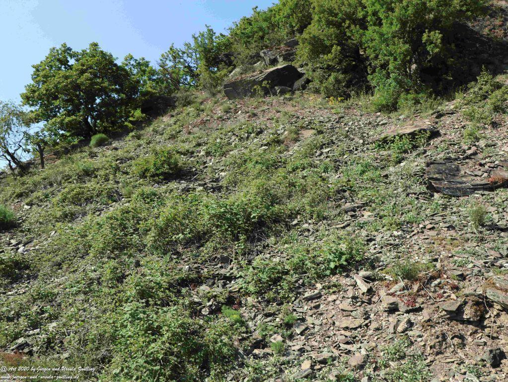 Philosophische Bildwanderung Rhein-Wisper-Glück - Taunus