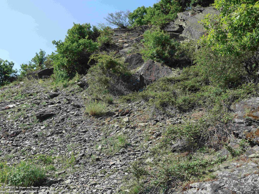 Philosophische Bildwanderung Rhein-Wisper-Glück - Taunus