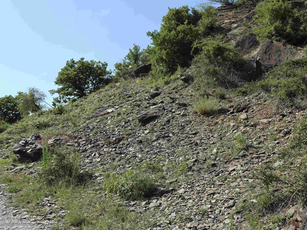 Philosophische Bildwanderung Rhein-Wisper-Glück - Taunus