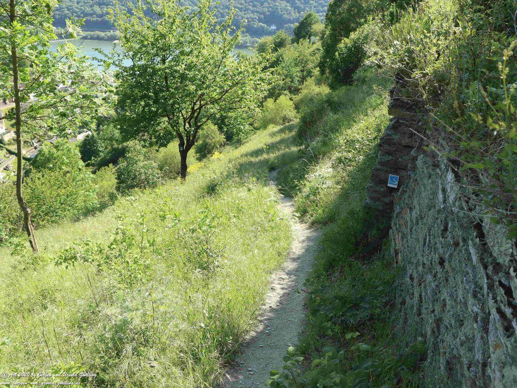 Philosophische Bildwanderung Rhein-Wisper-Glück - Taunus