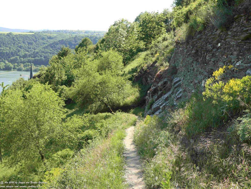 Philosophische Bildwanderung Rhein-Wisper-Glück - Taunus