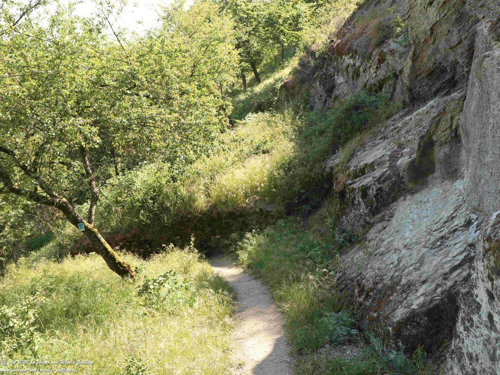 Philosophische Bildwanderung Rhein-Wisper-Glück - Taunus