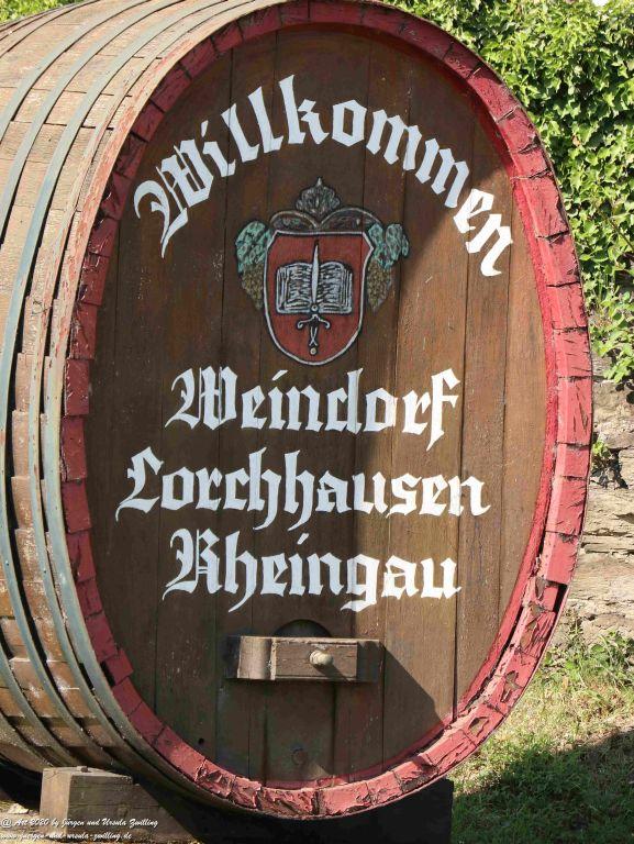 Philosophische Bildwanderung Rhein-Wisper-Glück - Taunus