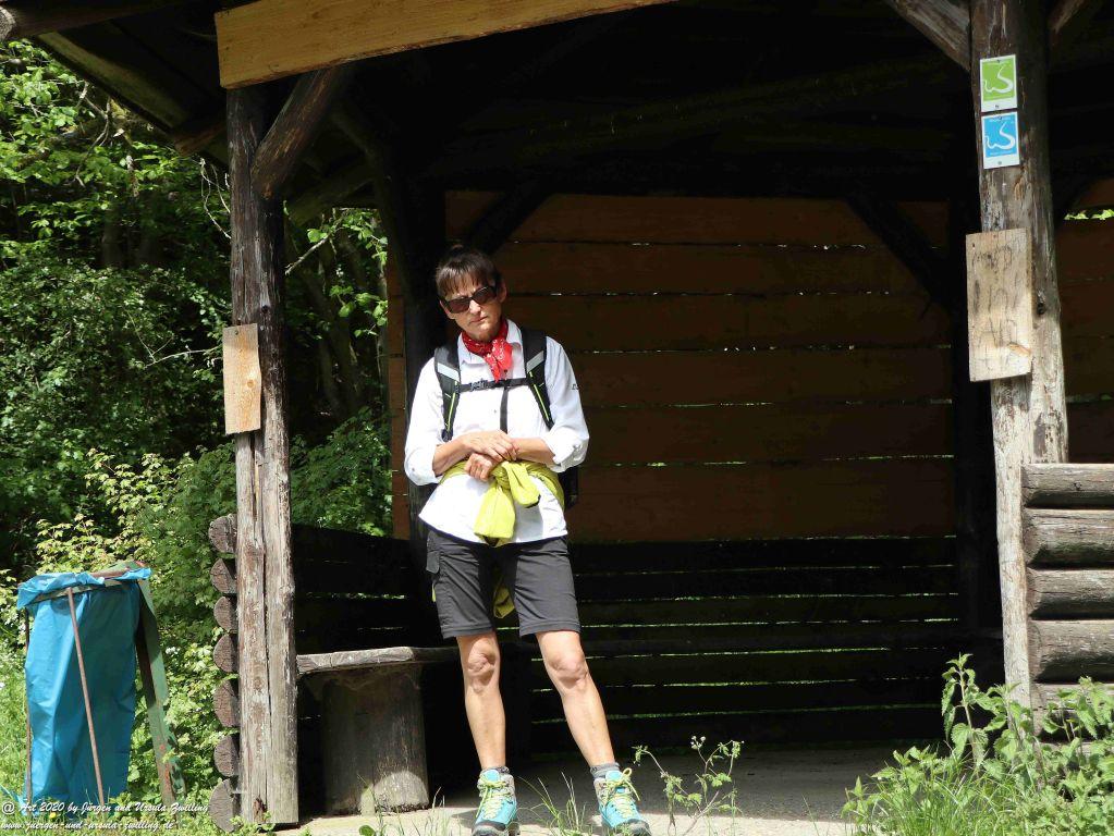 Philosophische Bildwanderung  Wisper Geflüster - Taunus