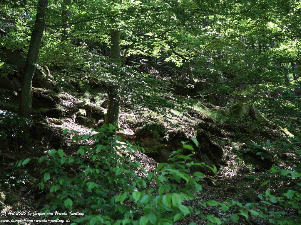 Philosophische Bildwanderung  Wisper Geflüster - Taunus