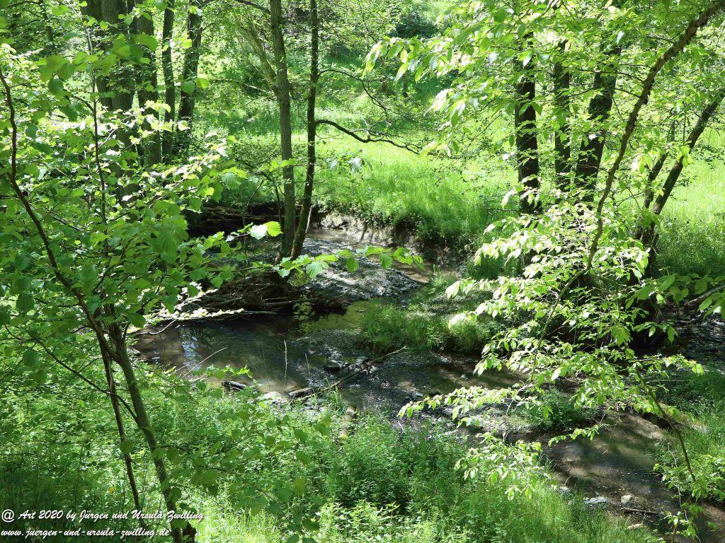 Philosophische Bildwanderung  Wisper Geflüster - Taunus