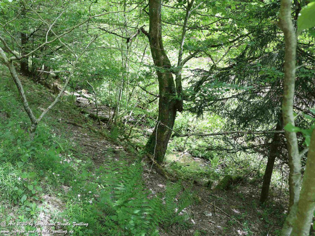 Philosophische Bildwanderung  Wisper Geflüster - Taunus