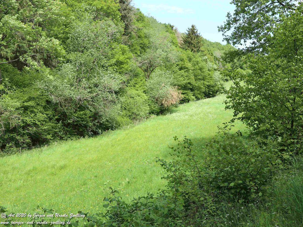 Philosophische Bildwanderung Wisper Geflüster - Taunus
