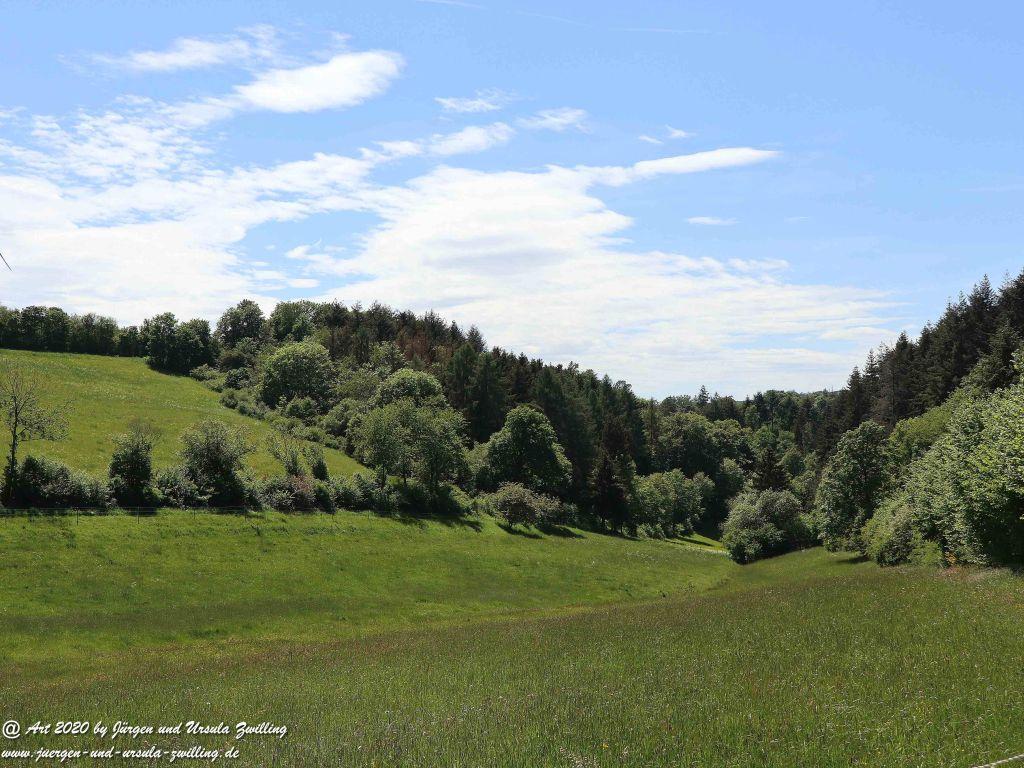 Philosophische Bildwanderung Wisper Geflüster - Taunus