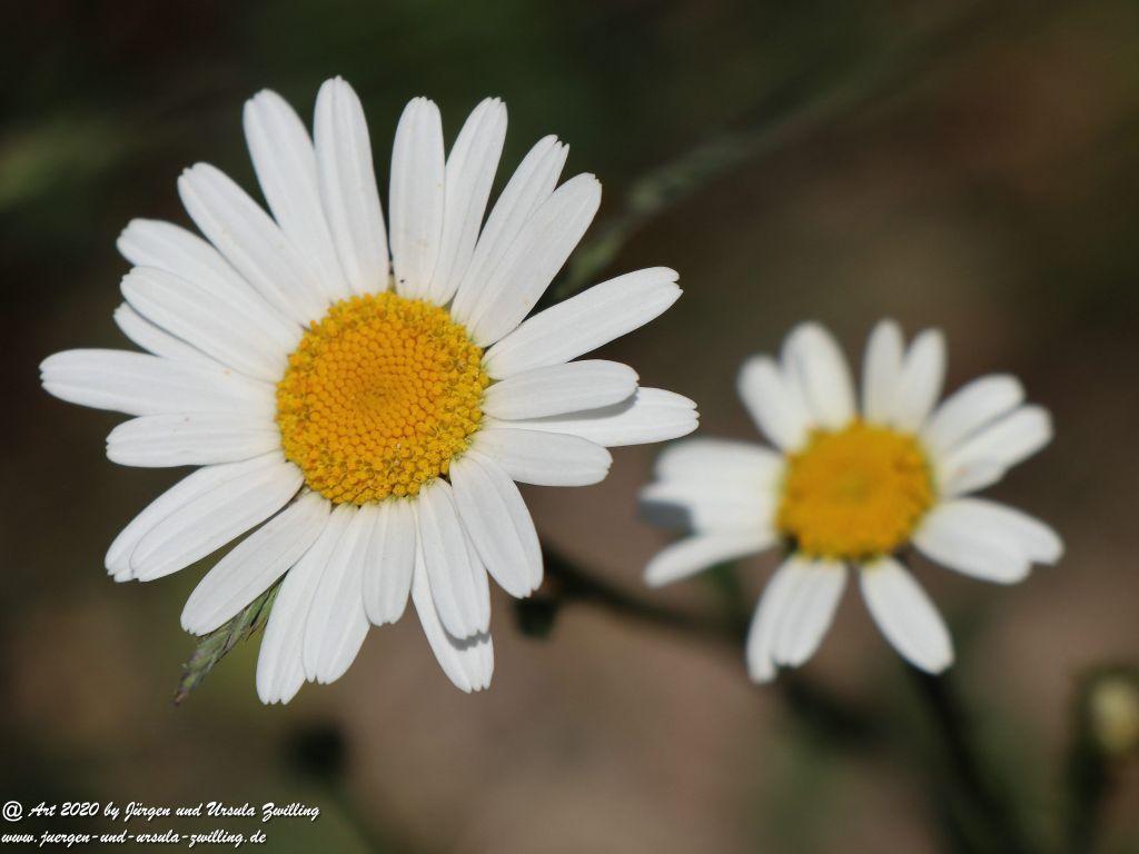 Philosophische Bildwanderung Wisper Geflüster - Taunus