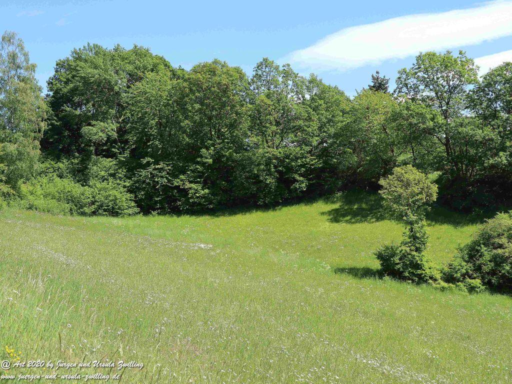 Philosophische Bildwanderung  Wisper Geflüster - Taunus