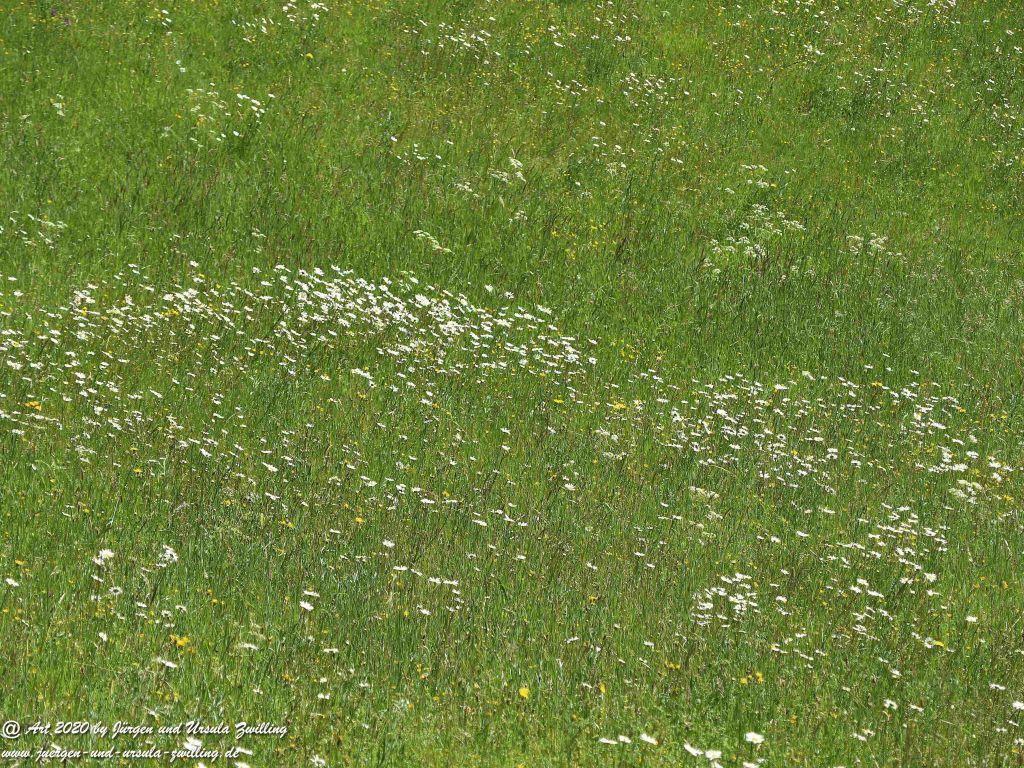 Philosophische Bildwanderung Wisper Geflüster - Taunus