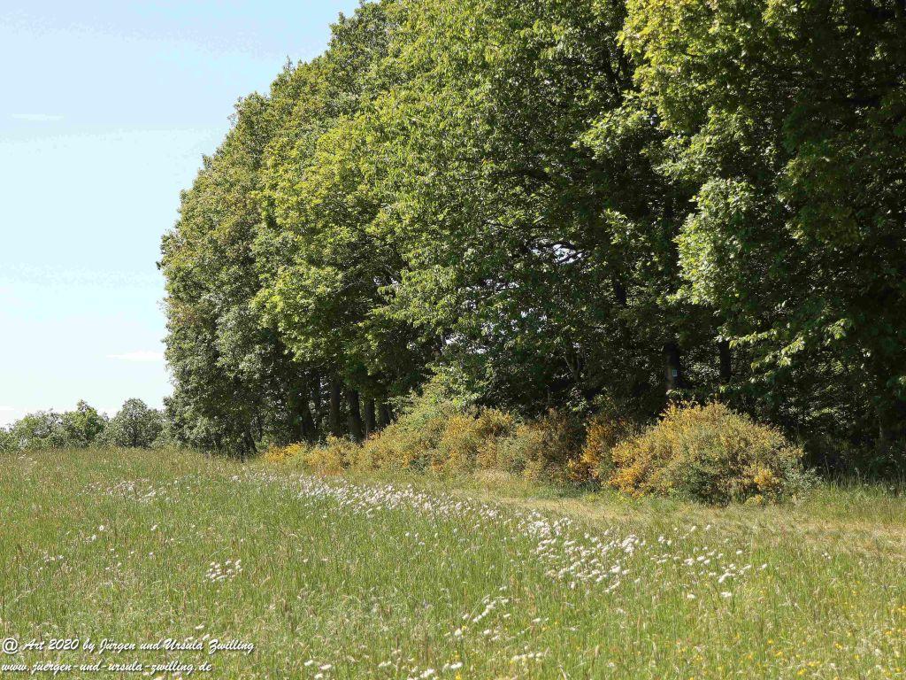 Philosophische Bildwanderung  Wisper Geflüster - Taunus
