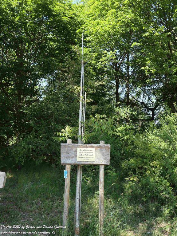 Philosophische Bildwanderung Wisper Geflüster - Taunus