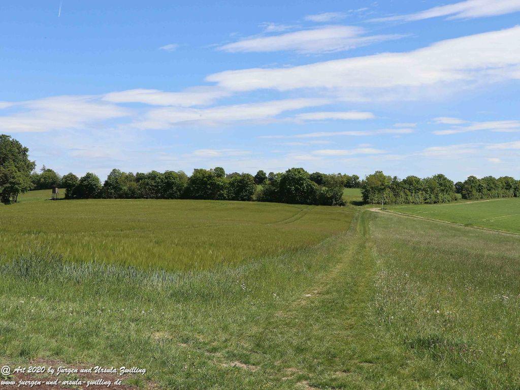 Philosophische Bildwanderung Wisper Geflüster - Taunus