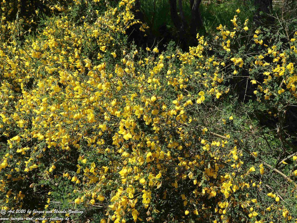 Philosophische Bildwanderung Wisper Geflüster - Taunus