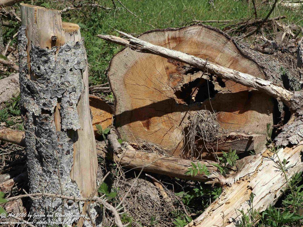 Philosophische Bildwanderung Wisper Geflüster - Taunus