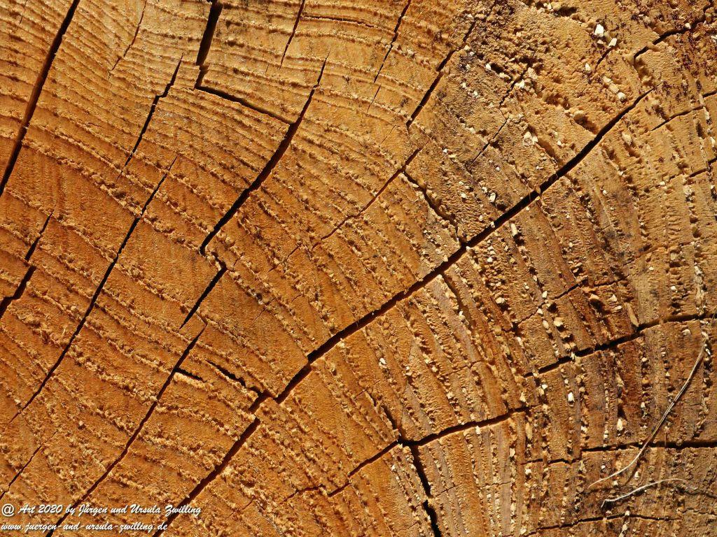 Philosophische Bildwanderung Wisper Geflüster - Taunus