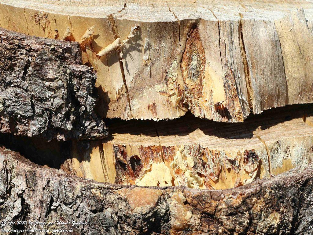 Philosophische Bildwanderung Wisper Geflüster - Taunus