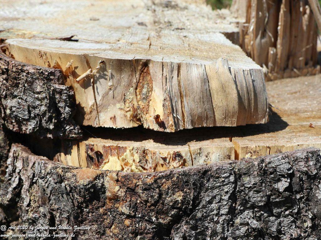 Philosophische Bildwanderung Wisper Geflüster - Taunus