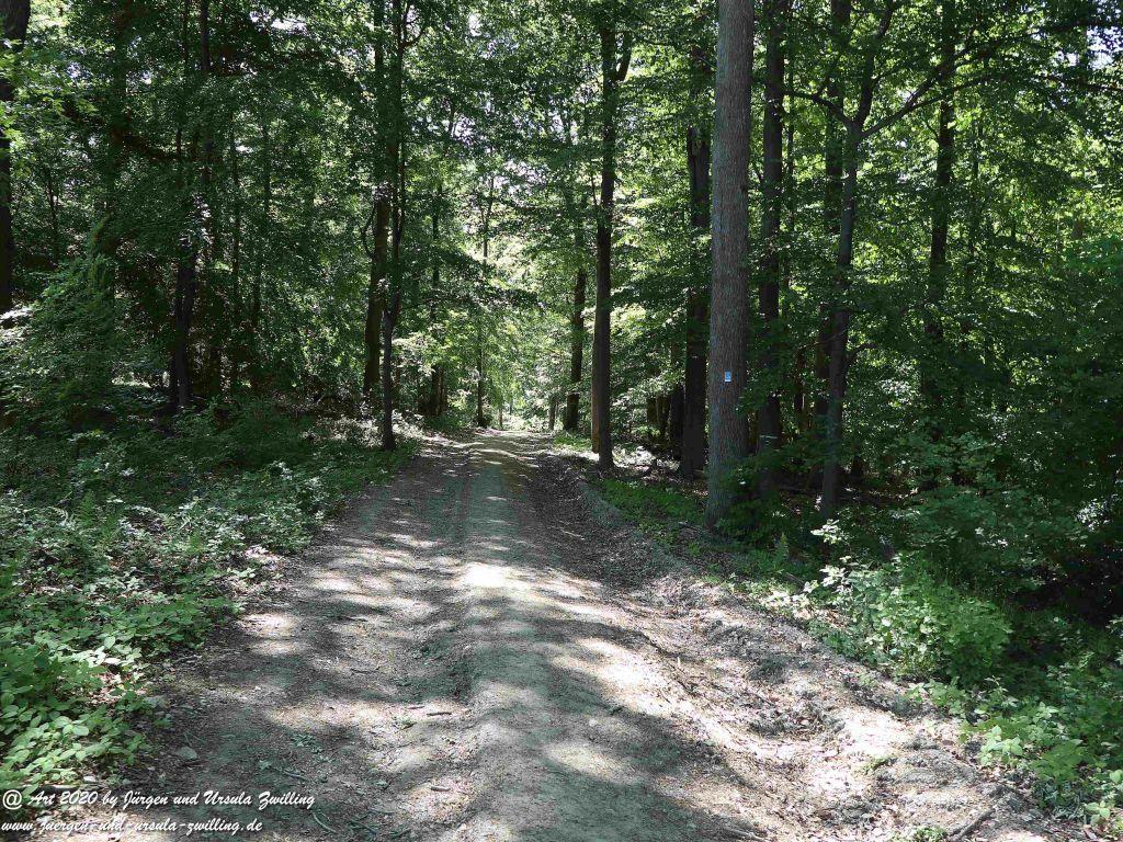 Philosophische Bildwanderung Wisper Geflüster - Taunus