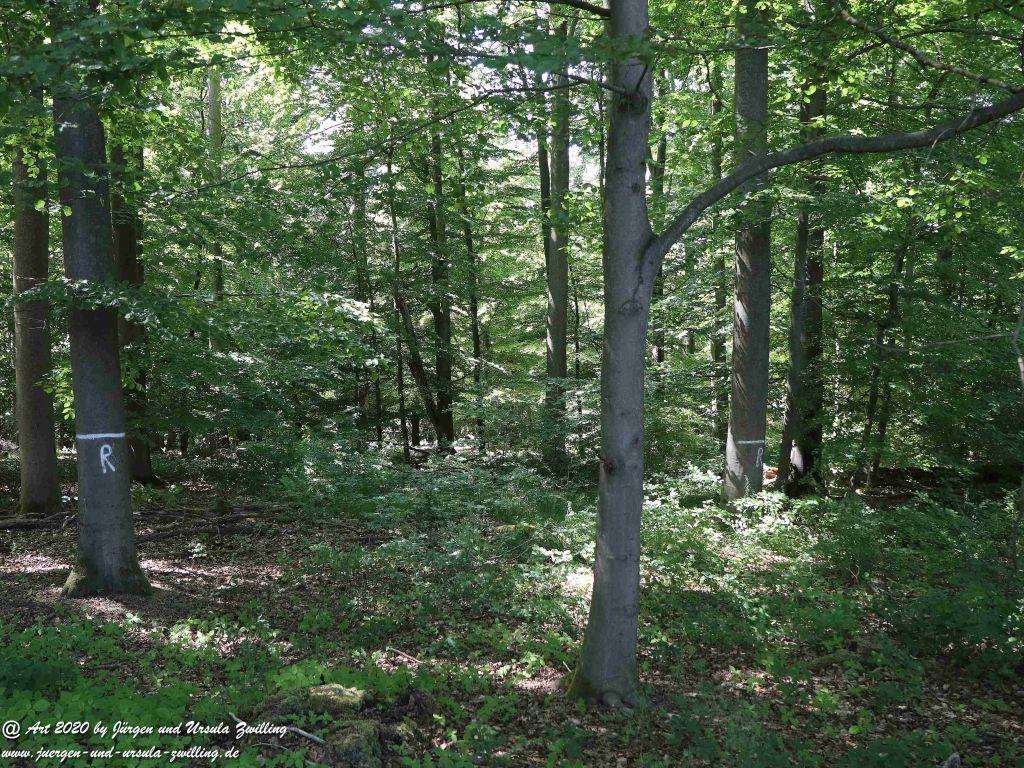 Philosophische Bildwanderung Wisper Geflüster - Taunus