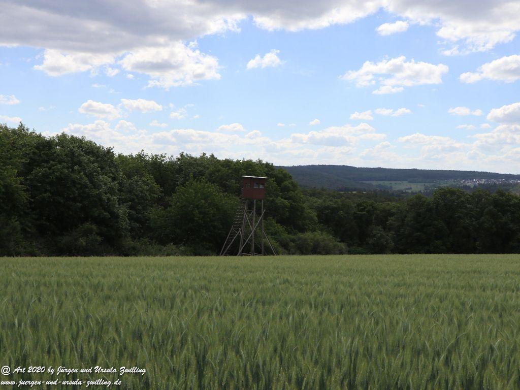 Philosophische Bildwanderung  Schwälbchen‘s Flug  - Wisper Trail - Taunus