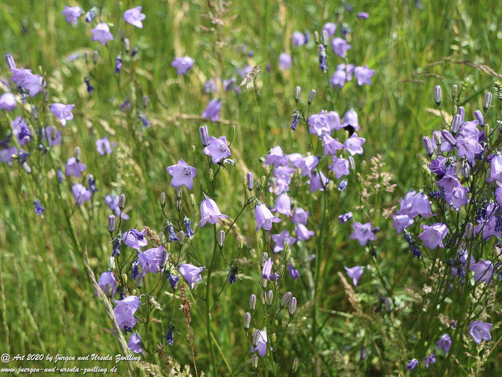 Philosophische Bildwanderung  Schwälbchen‘s Flug  - Wisper Trail - Taunus
