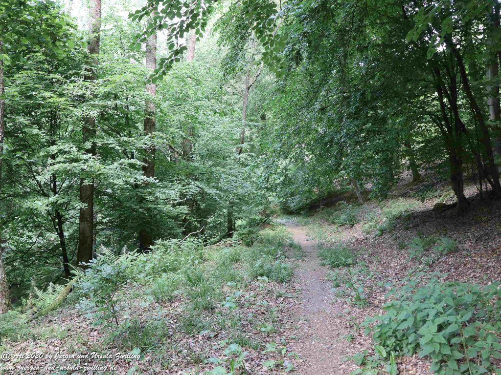 Philosophische Bildwanderung  Schwälbchen‘s Flug  - Wisper Trail - Taunus