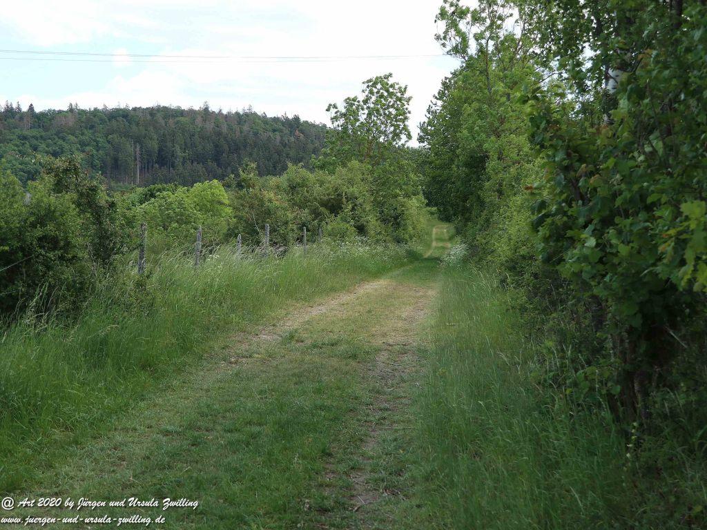 Philosophische Bildwanderung  Schwälbchen‘s Flug  - Wisper Trail - Taunus