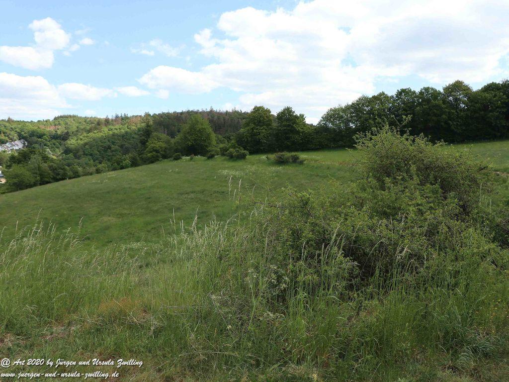 Philosophische Bildwanderung  Schwälbchen‘s Flug  - Wisper Trail - Taunus