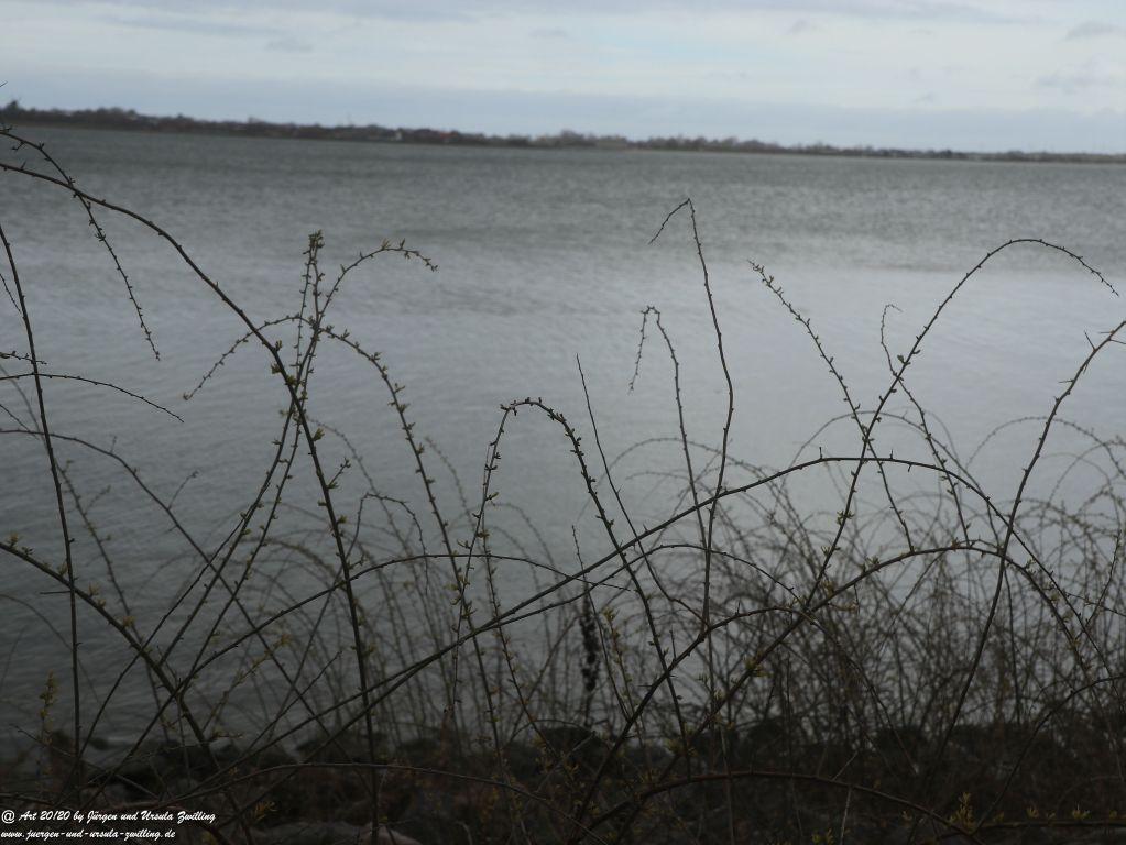 Hafen von Orth Insel Fehmarn - Ostsee