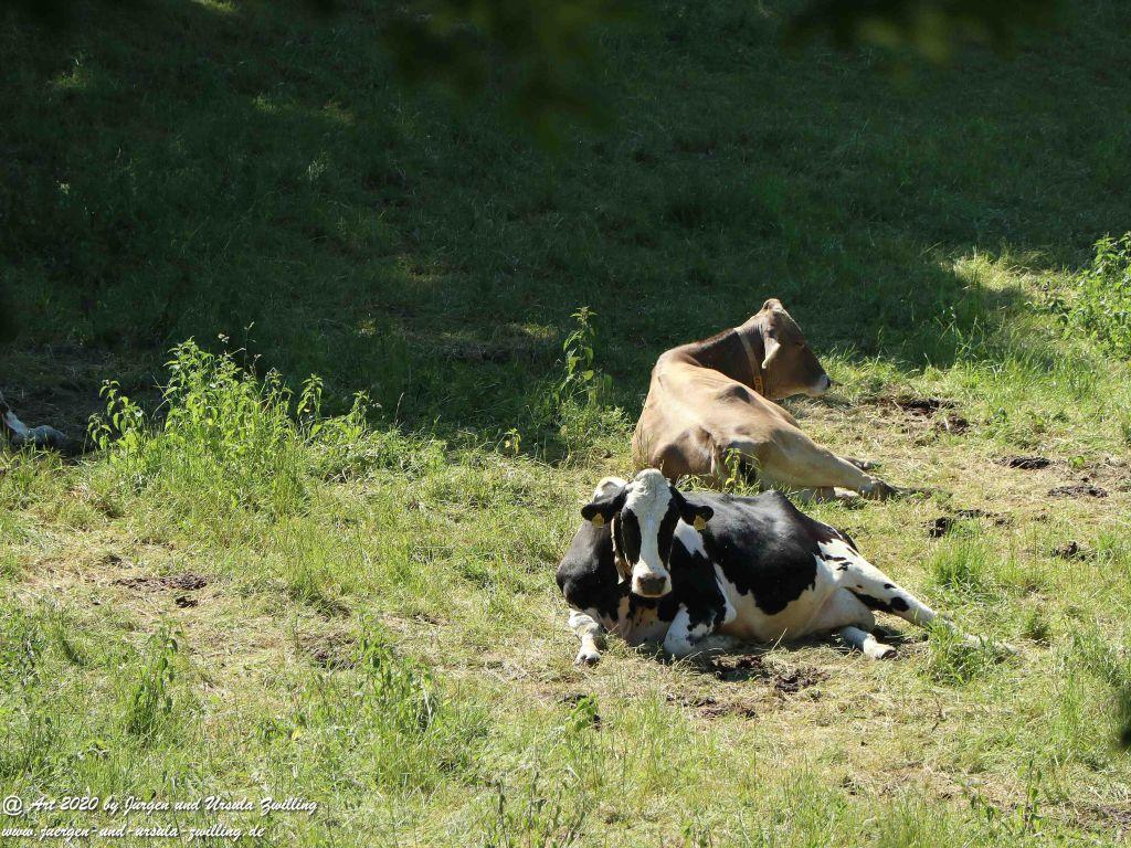 Philosophische Bildwanderung Wispertalsteig Wisper Trail - Taunus
